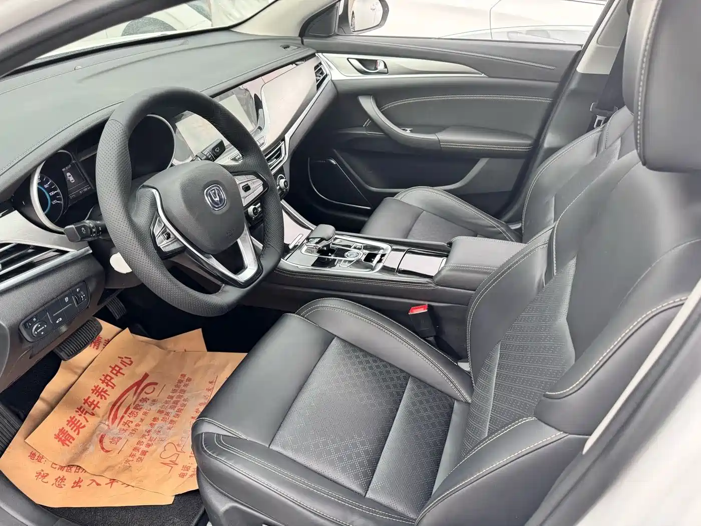 Changan Eado New Energy 2019 2019 EV460 Smart Enjoy Edition
