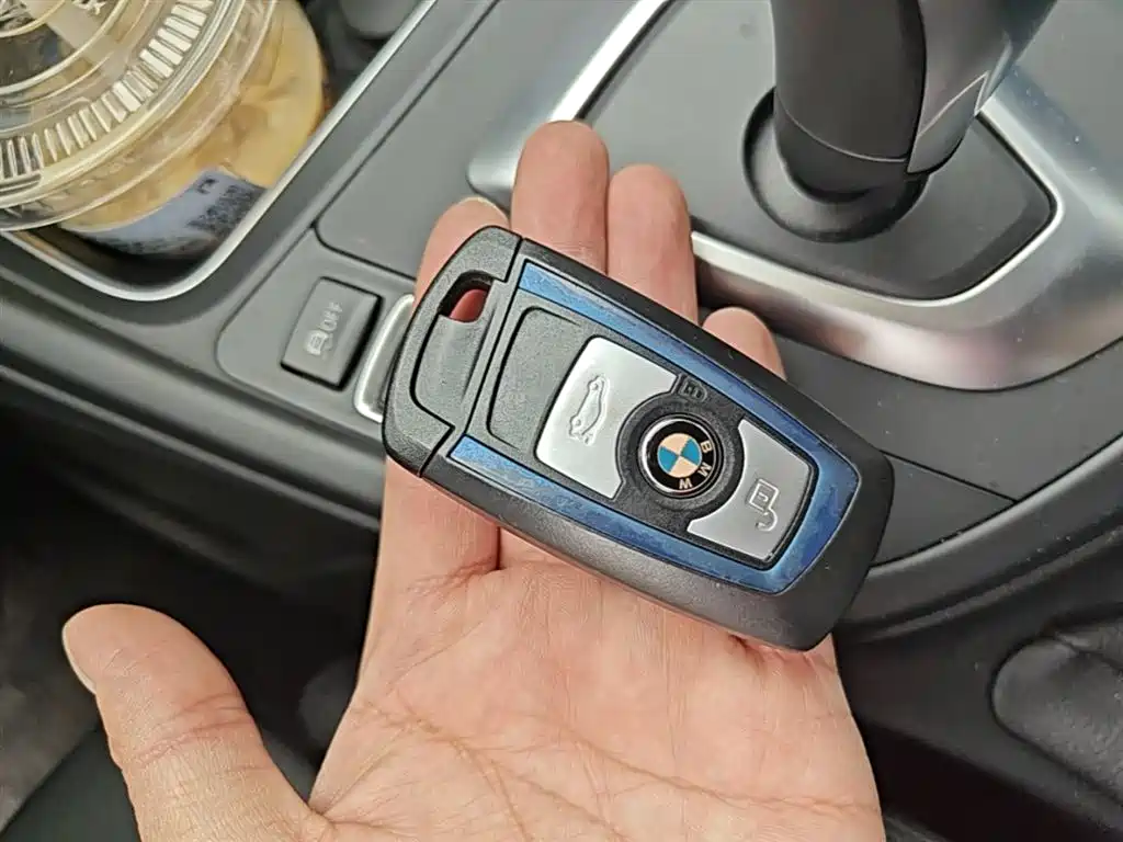BMW 3 Series 2019 320Li M Luxury Package фото 9
