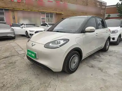 Wuling Bingo