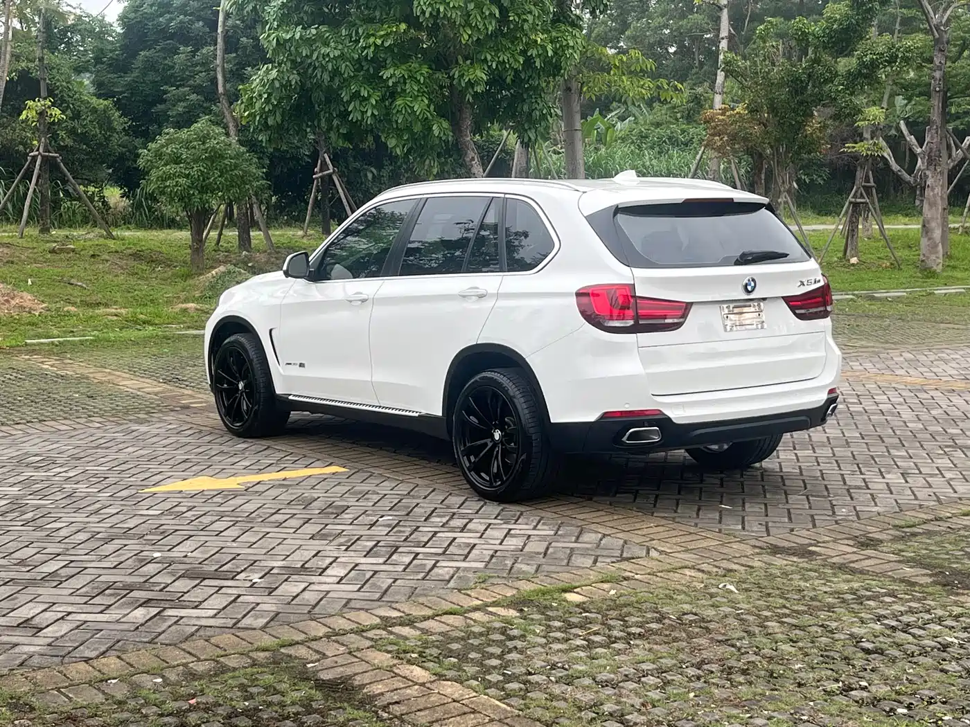 BMW X5 (Import) 2018 xDrive35i Elegant Model фото 7