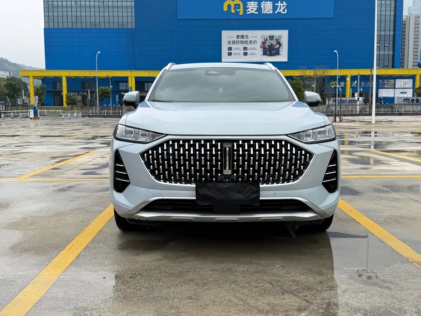 WEI PAI WEI BRAND MOCHA