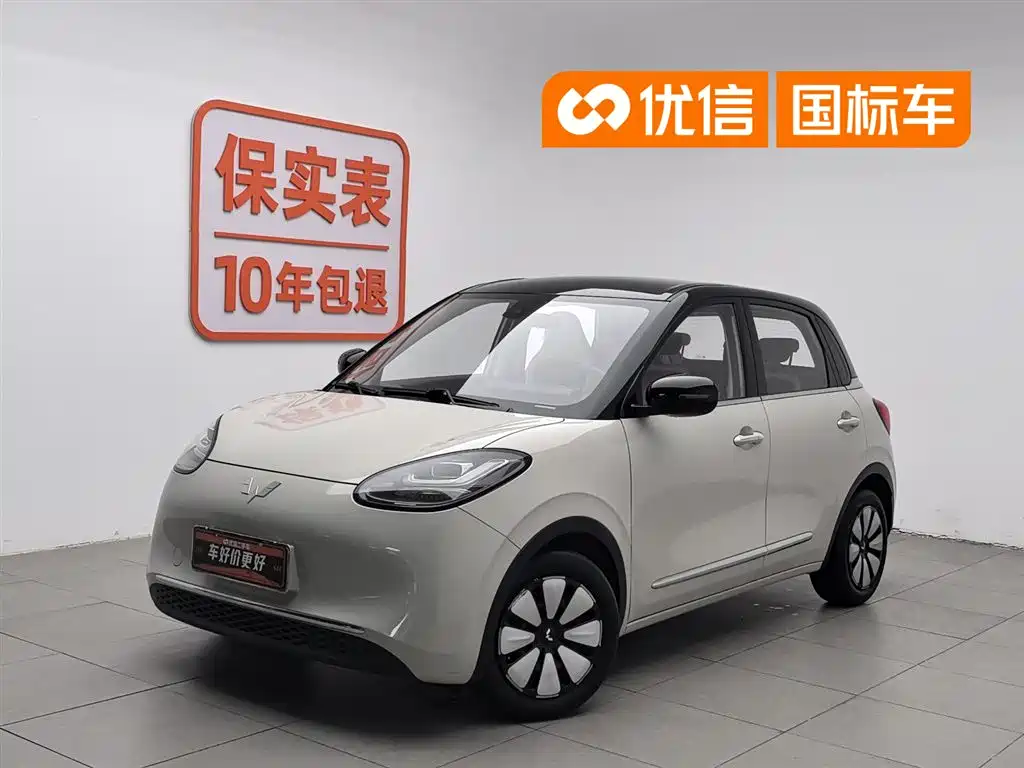 Wuling Motors Wuling Bingo 2023 203km Comfort Version