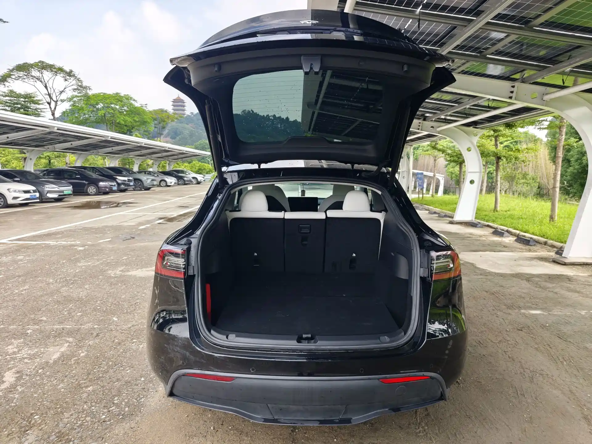 Фото 20 - Tesla Model Y