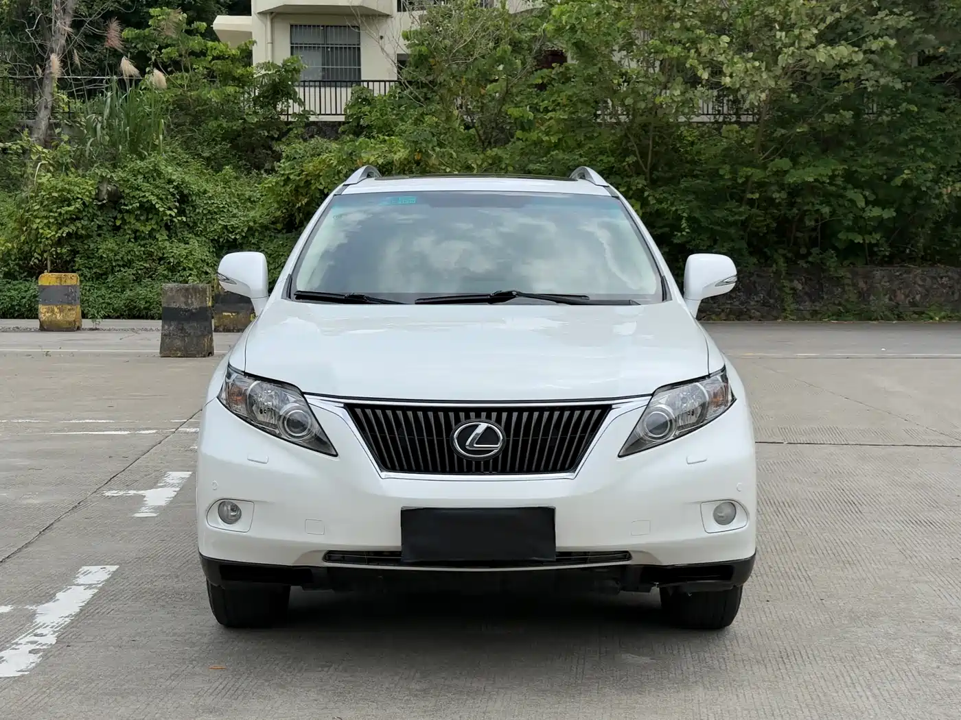 Lexus RX Classic 2012 270 Luxury Edition фото 17