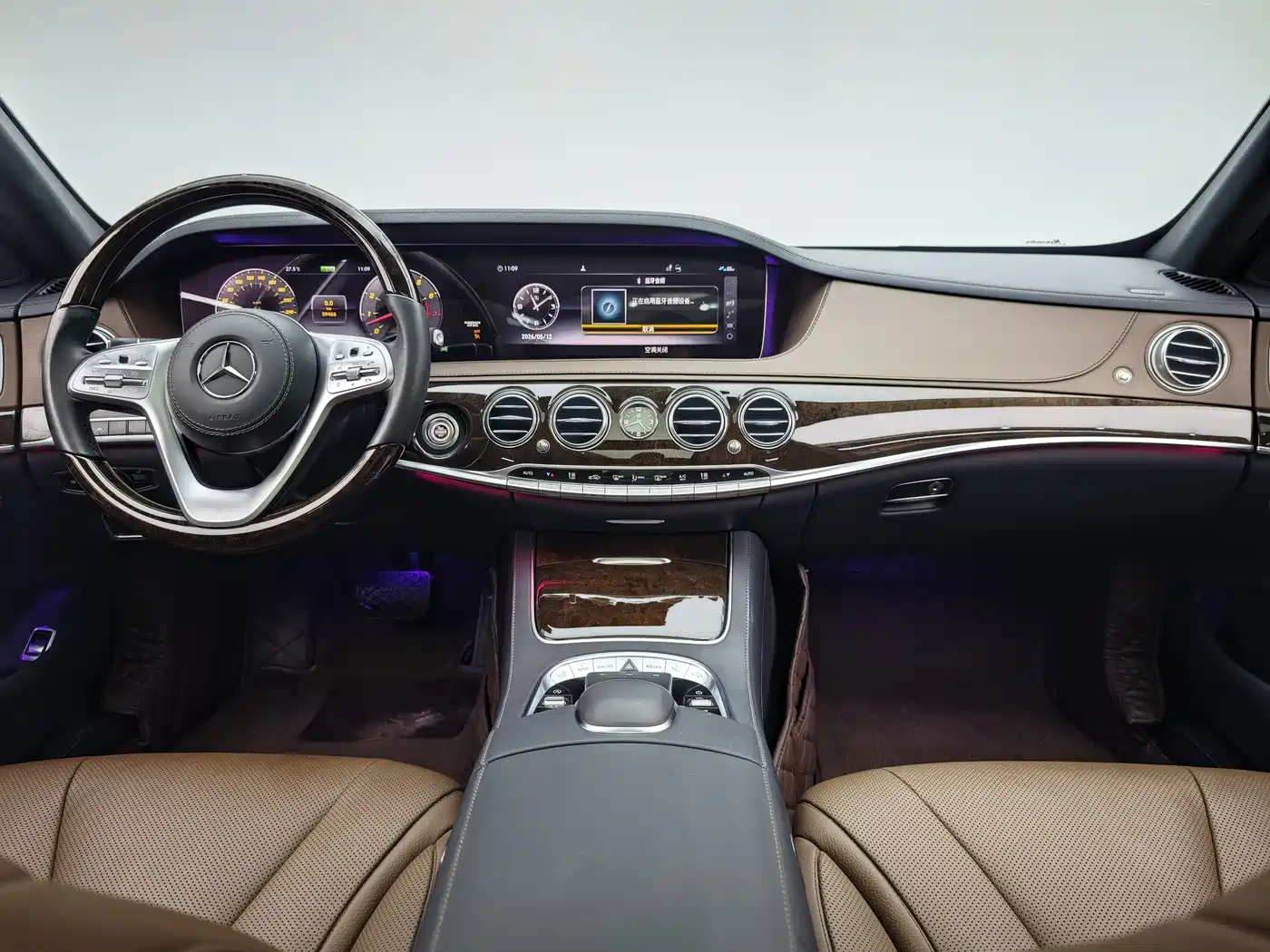 Mercedes-Benz S-Class 2020 S 350 L Premium Edition Collector's Version фото 9