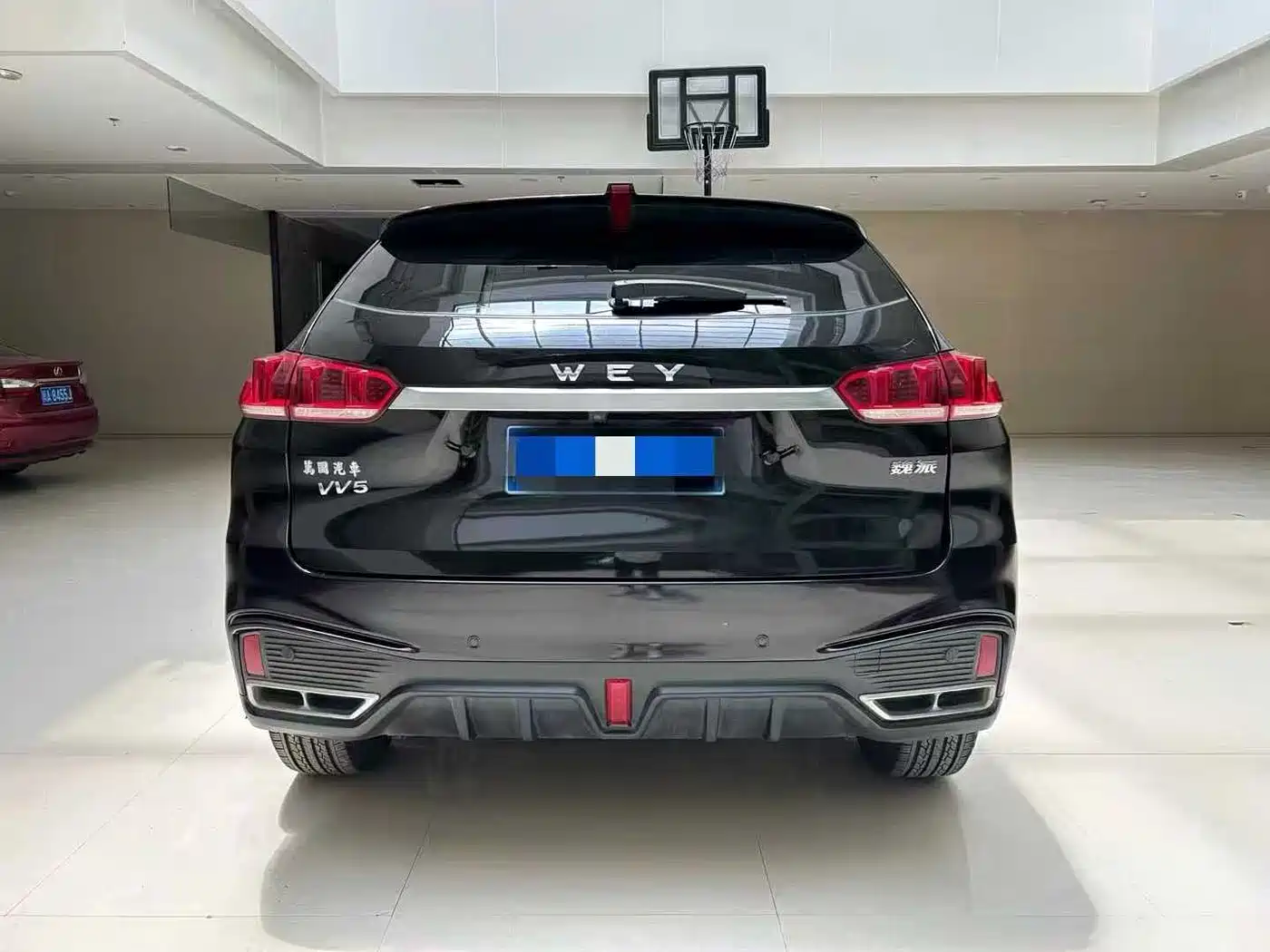 WEI PAI WEI BRAND VV5