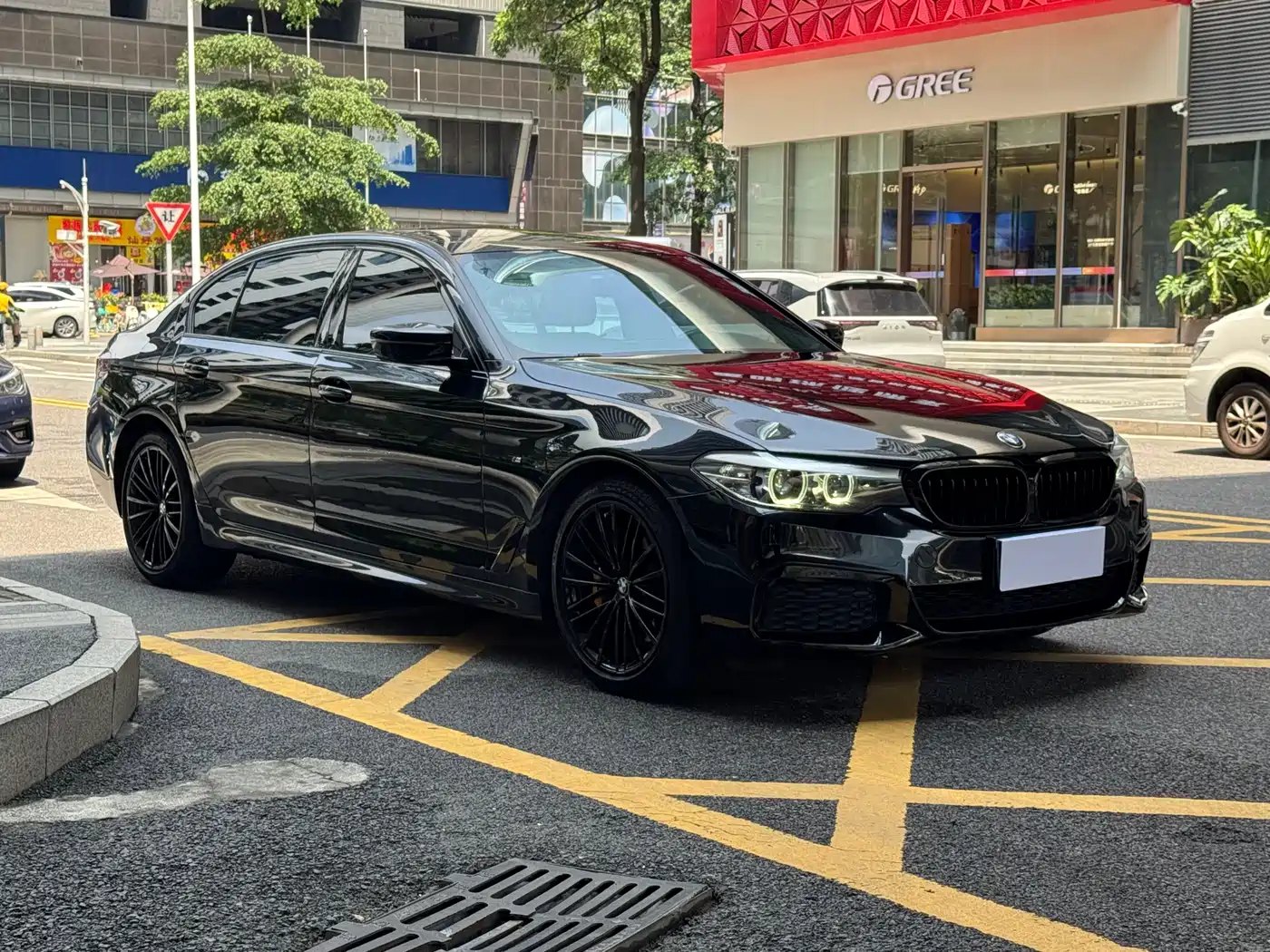 BMW 5 Series 2019 Facelift 530Li Leading M Sport Package фото 3