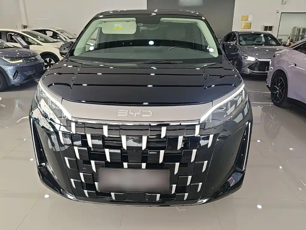 BYD M9 2025 2025 Model 1060 Pilot Edition