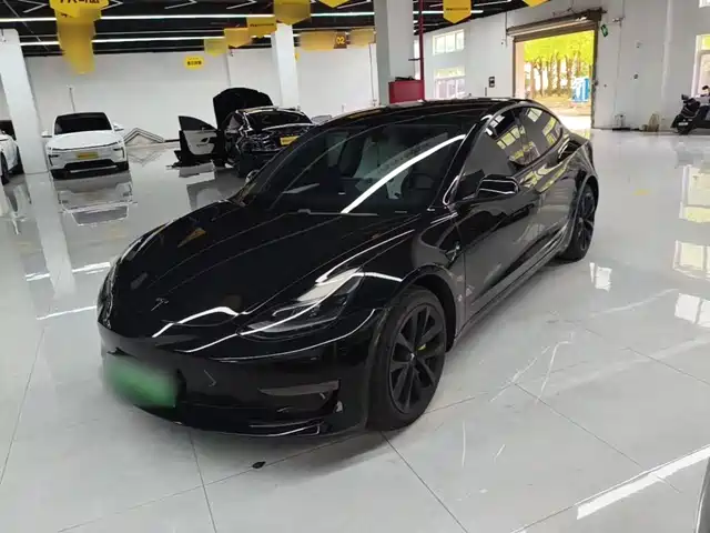  Tesla Model 3 2021 Standard Range Rear-Wheel Drive Upgrade