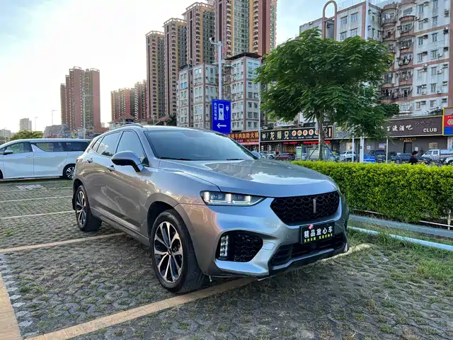 WEI PAI WEI BRAND VV7