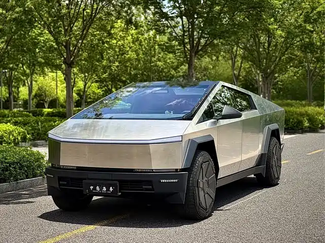 Tesla Cyber Off-Road Traveler, фото 1
