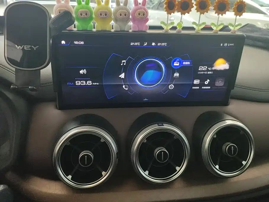 WEI PAI WEI BRAND VV5