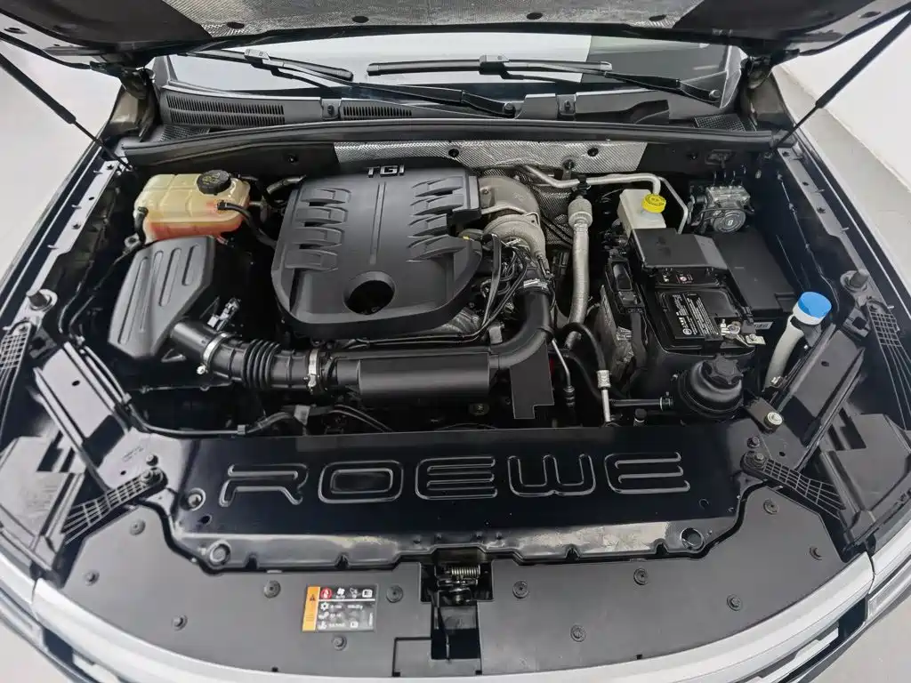 Фото 6 - Roewe RX8