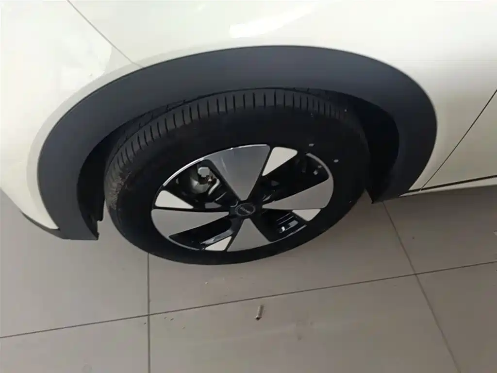 BYD Dolphin 2023 420km Fashion Edition фото 23
