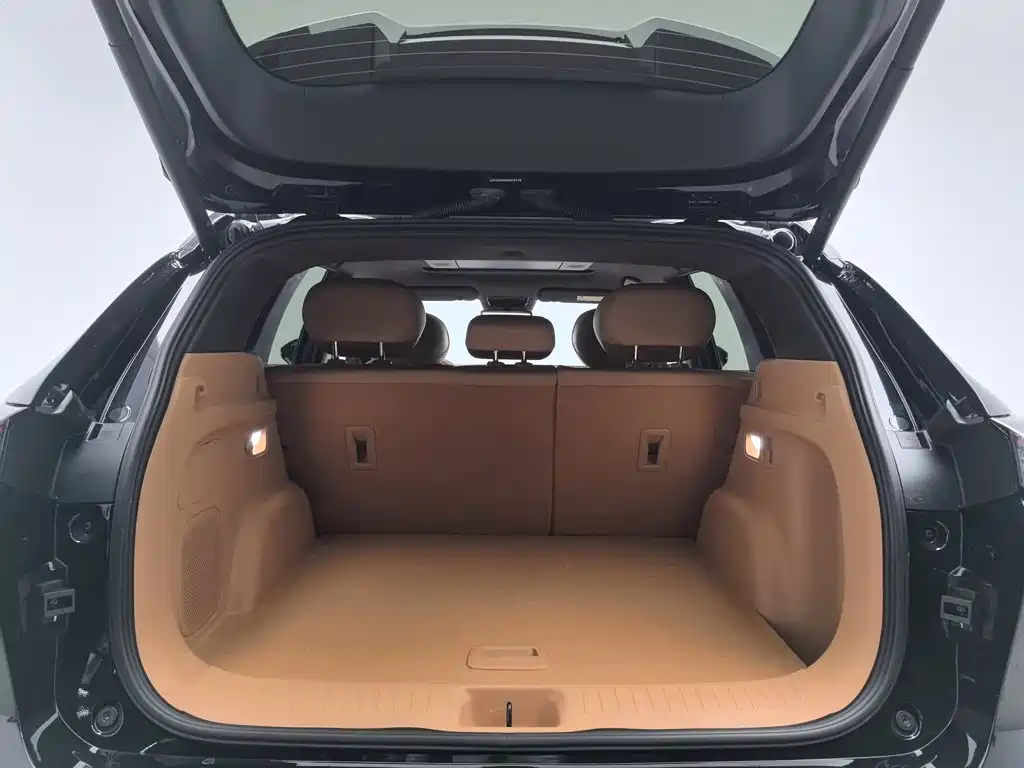 Фото 16 - Dongfeng Aeolus L8