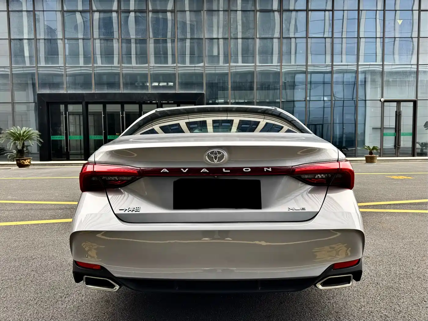 Toyota Avalon 2019 2.0L XLE Premium Edition (China VI) фото 5