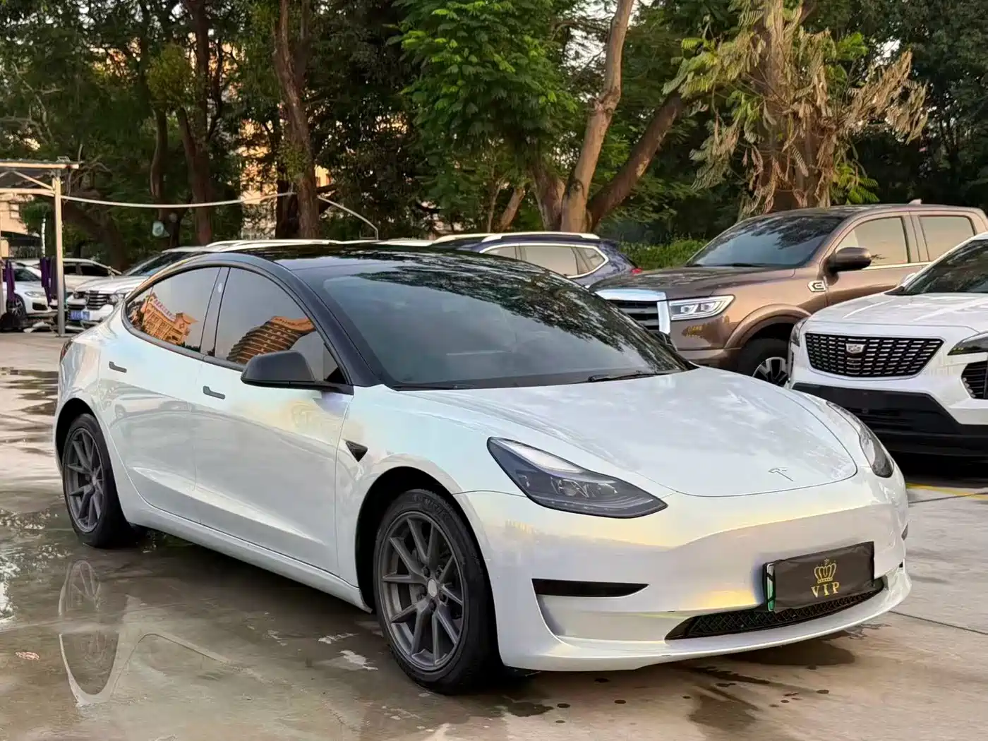 Tesla Model 3 2022