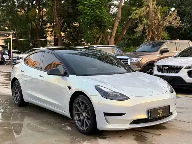 Tesla Model 3 Задний привод
