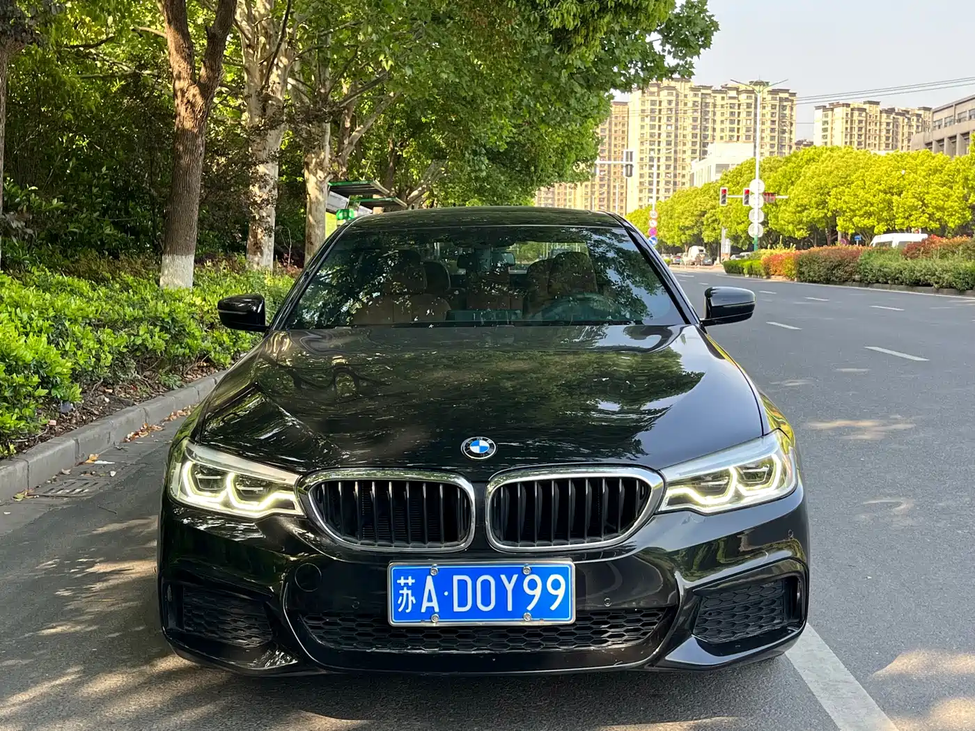 BMW 5 Series 2020 530Li Leading M Sport Package фото 2