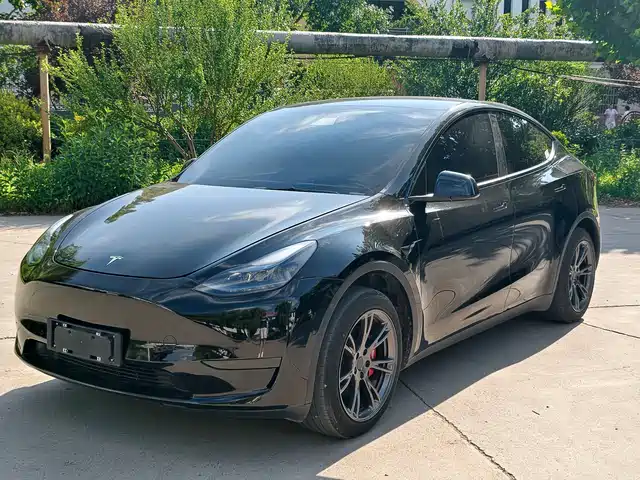 Tesla Model Y Задний привод