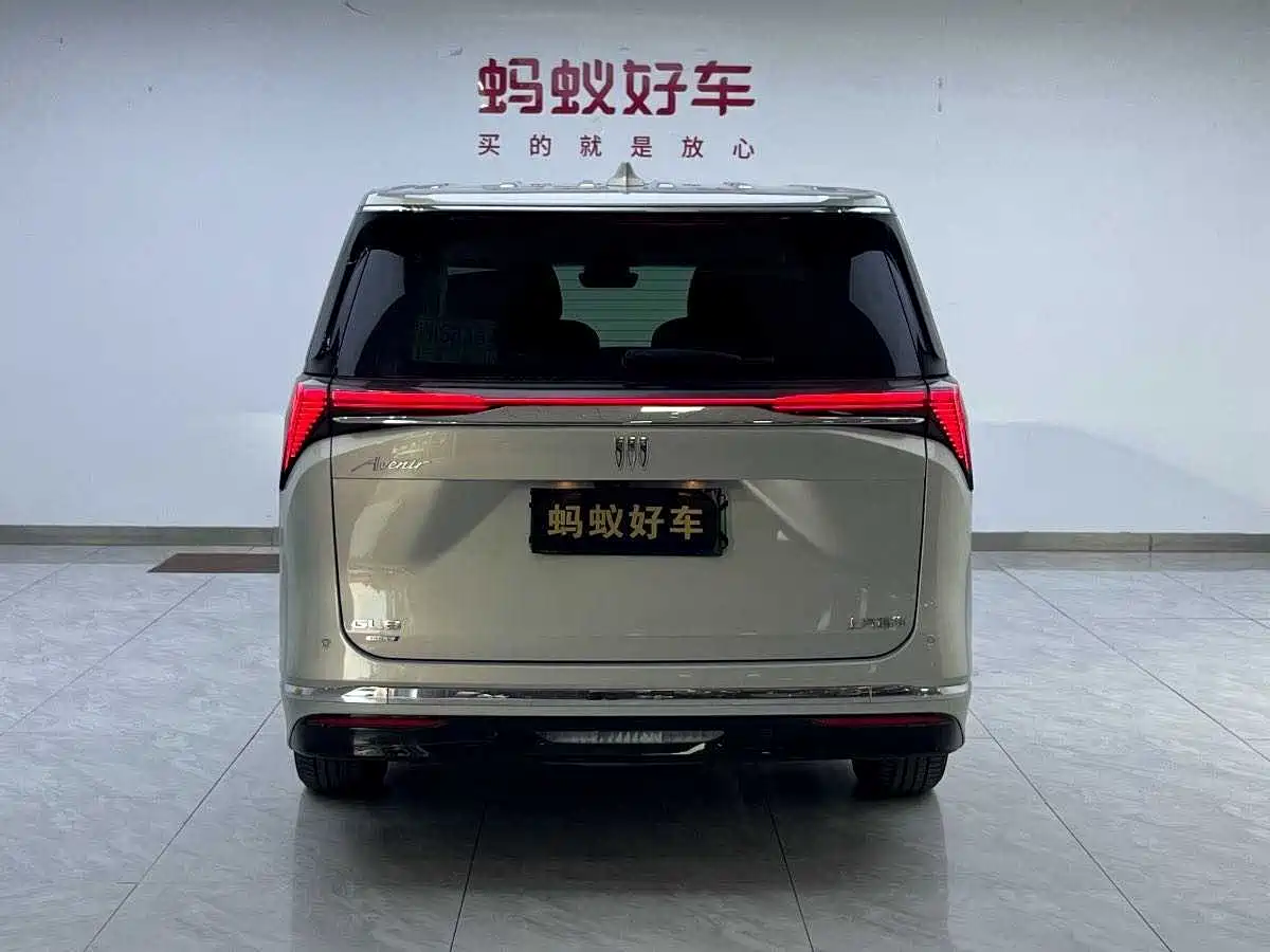 Buick GL8 New Energy 2024 Land Honor Luxury Edition 6-Seater фото 5