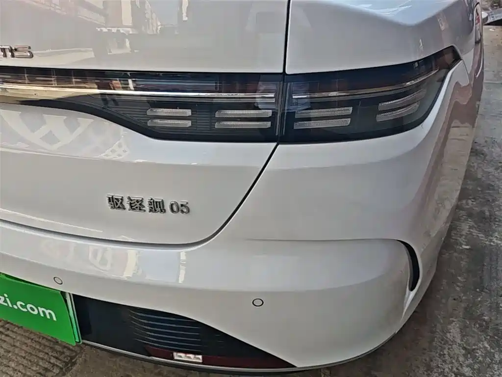 BYD Destroyer 05 2024 Glory Edition DM-i 55KM Luxury фото 8