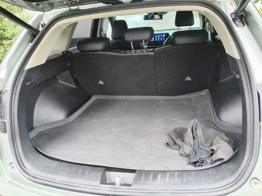 Haval Xiaolong 2024 2023 1.5L 110KM Pilot Edition