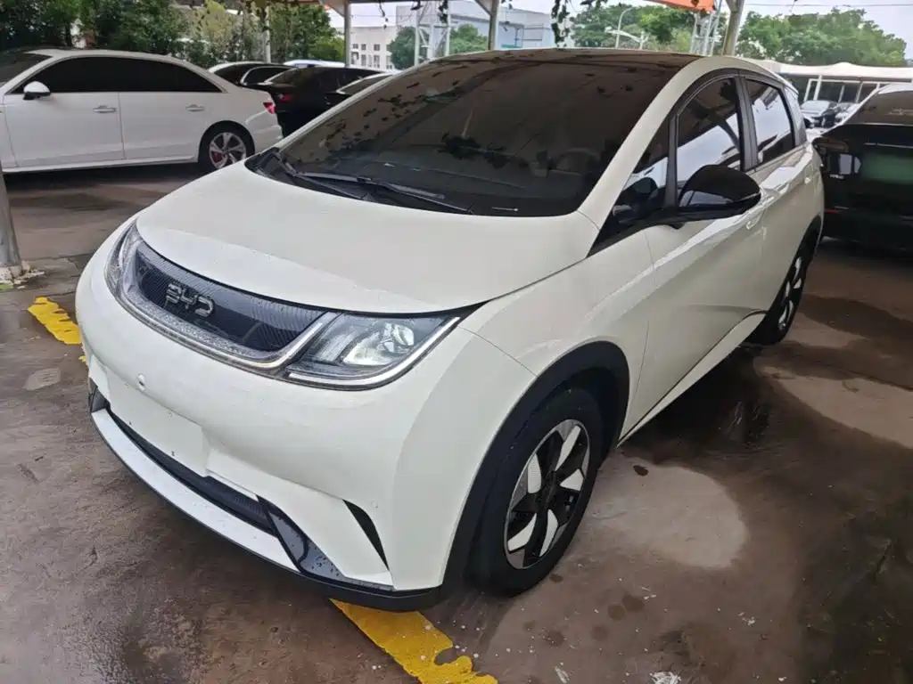 Фото 2 - BYD Dolphin