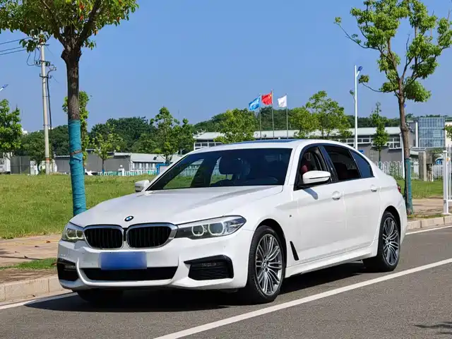 BMW 5 Series 2019