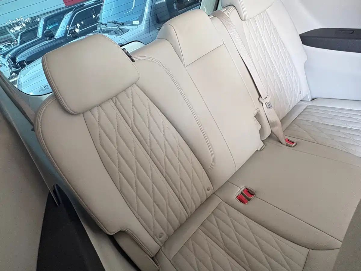 Buick GL8 2021 Land Business Class 652T Luxury фото 13