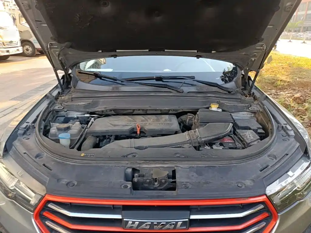 Haval H4 2019 2019 1.5GDIT Pro Edition China VI