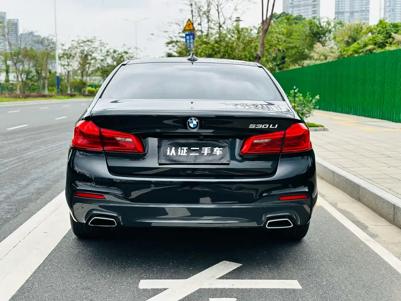 BMW 5 Series 2020 530Li Leading M Sport Package фото 6