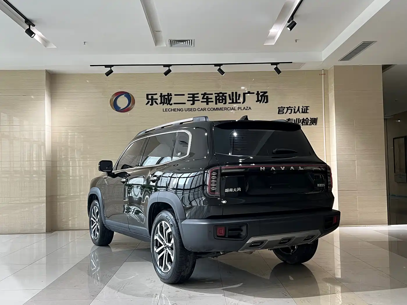 Haval Big Dog 2024 1.5T DCT Border Collie Edition фото 6