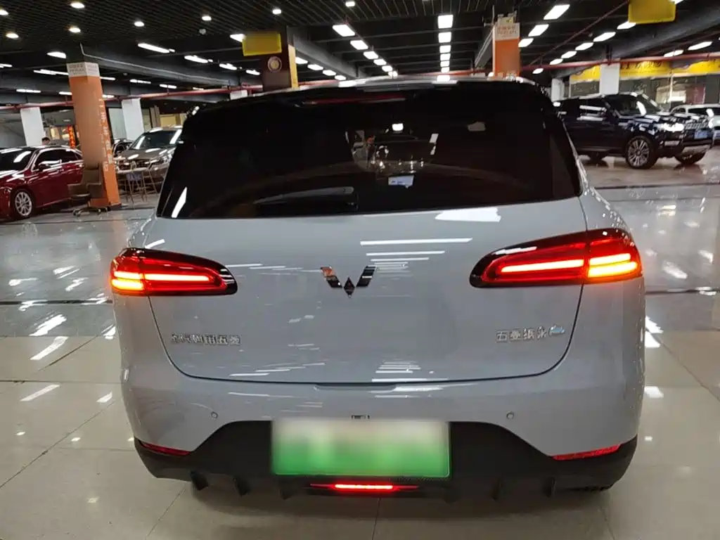 Wuling Motors Wuling Binguo PLUS 2025 2024 510km Range 5-seater