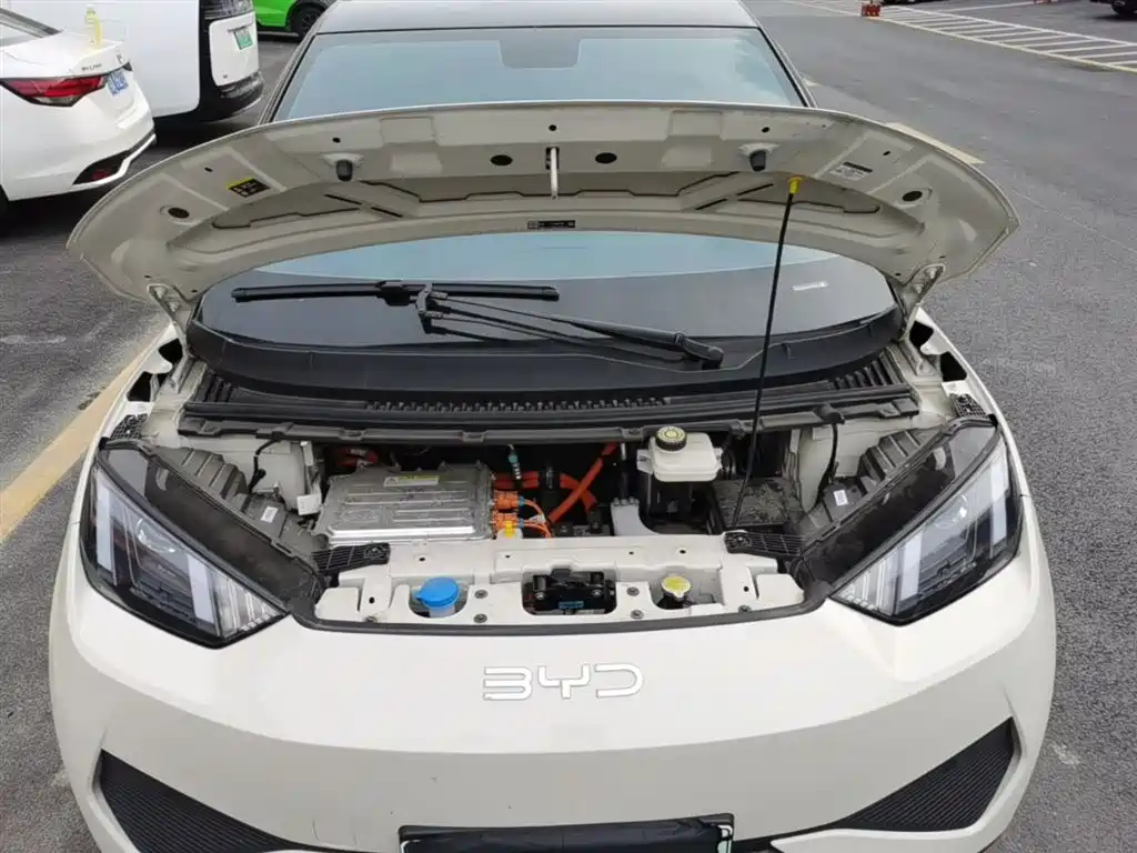 BYD Seagull 2025 Smart Drive Edition 305km Vitality Version фото 20