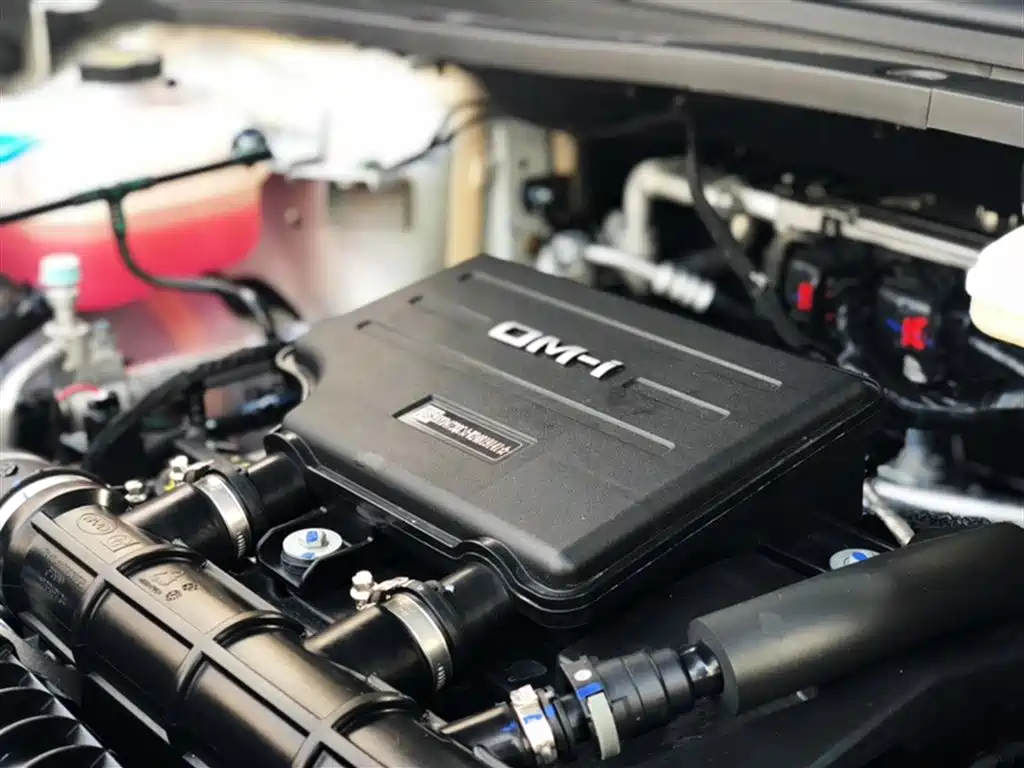 BYD Song L DM-i 2025 Smart Drive 160km Premium фото 19