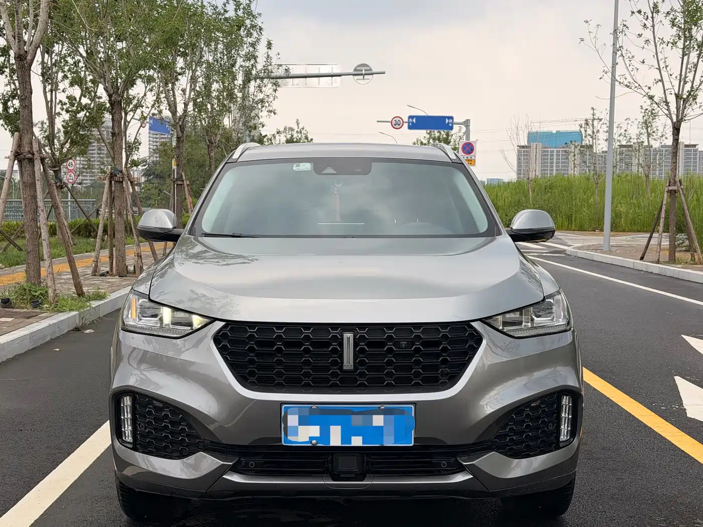 Фото 2 - WEY VV6