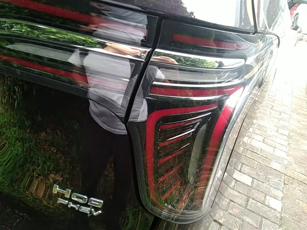 Hongqi HQ9 PHEV 2024 Model 2.0T AWD Luxury Edition фото 8