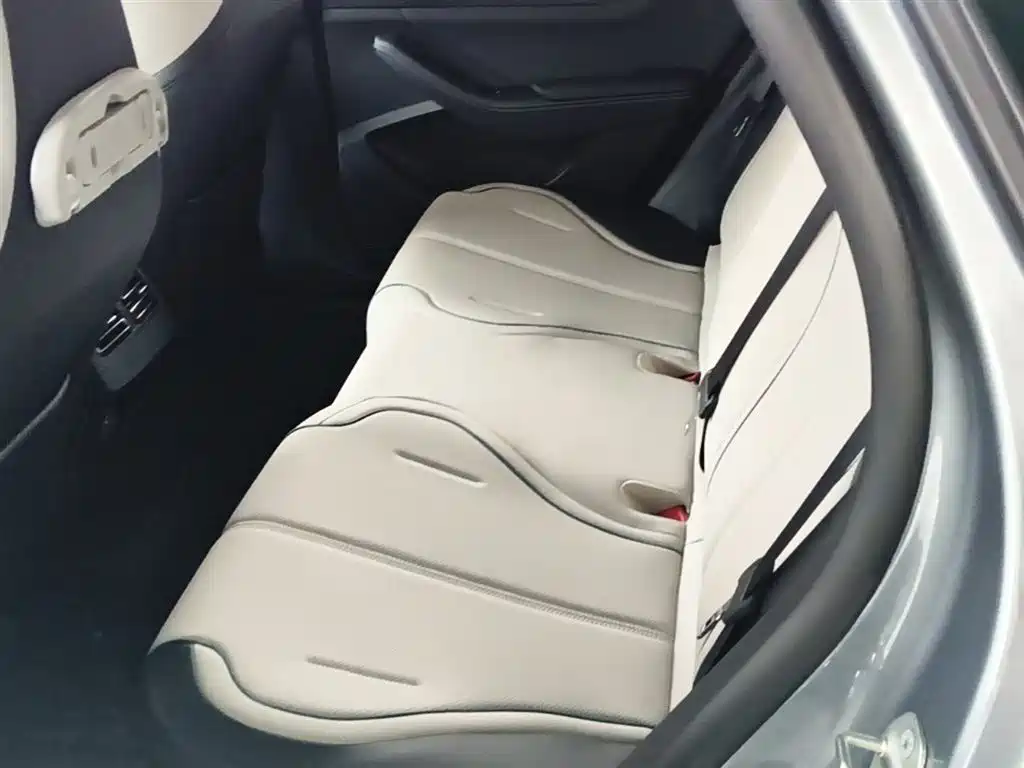 BYD Destroyer 05 2024 Glory Edition DM-i 55KM Luxury фото 17