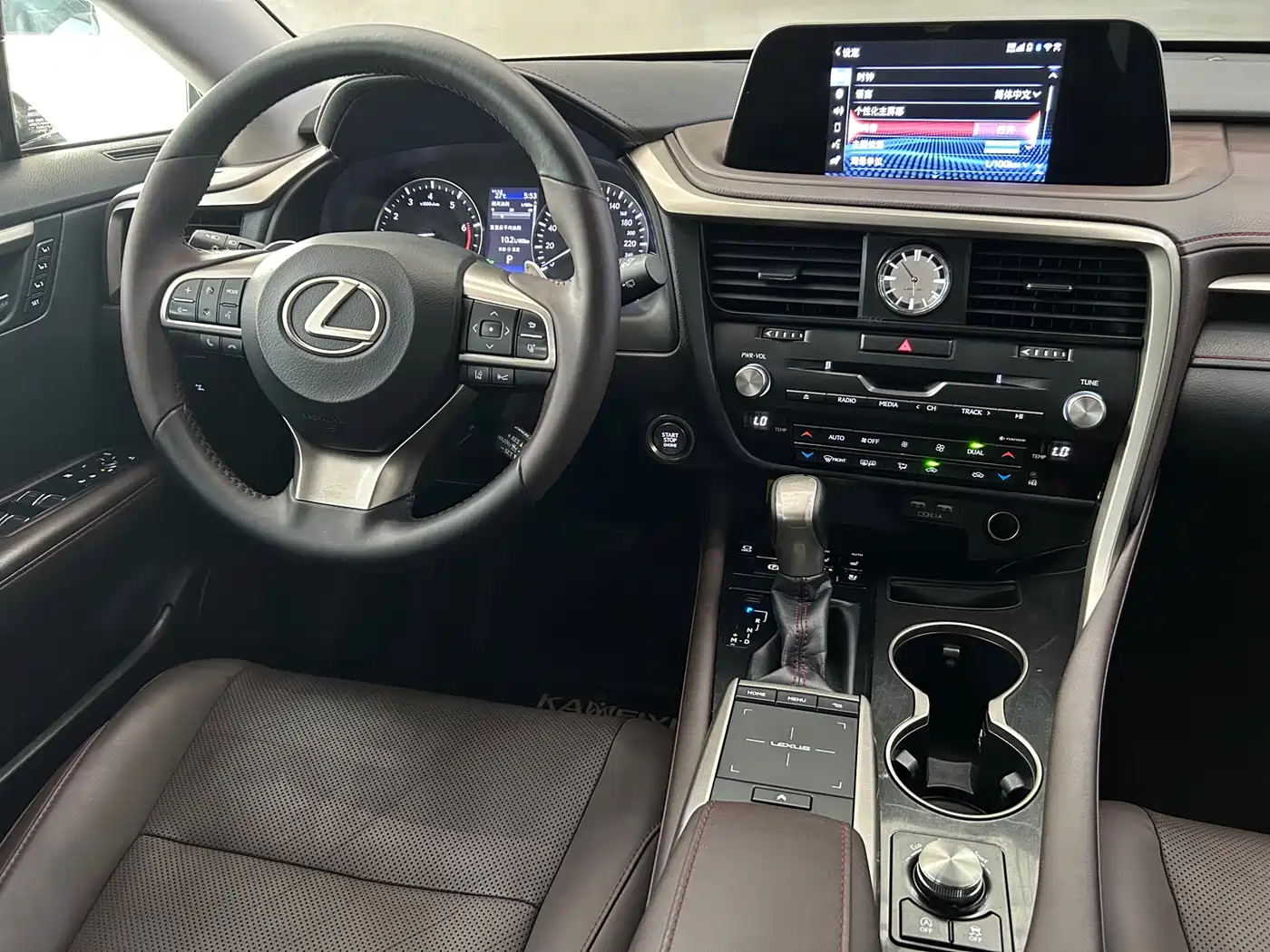Lexus RX 2020 300 4WD Elegance Edition China VI фото 29