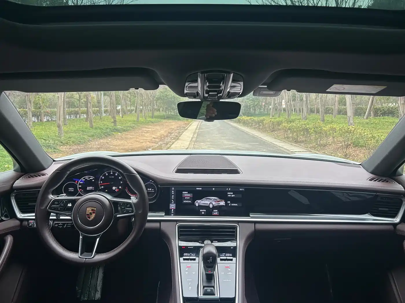 Porsche Panamera 2019 Panamera 2.9T фото 16