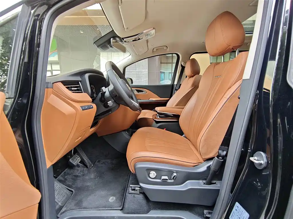 Hongqi HQ9 PHEV 2024 Model 2.0T AWD Luxury Edition фото 6
