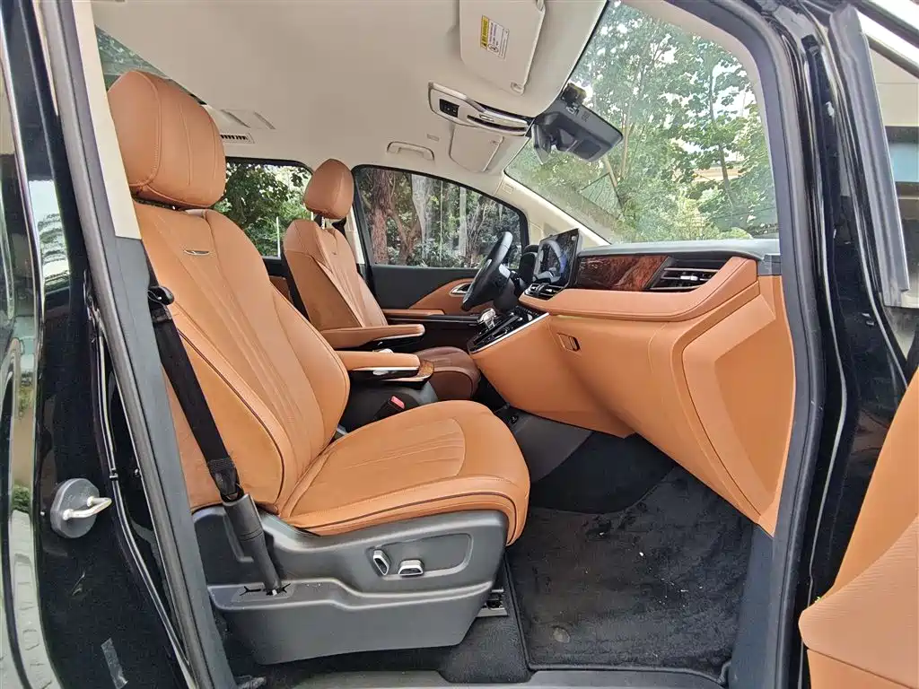 Hongqi HQ9 PHEV 2024 Model 2.0T AWD Luxury Edition фото 9