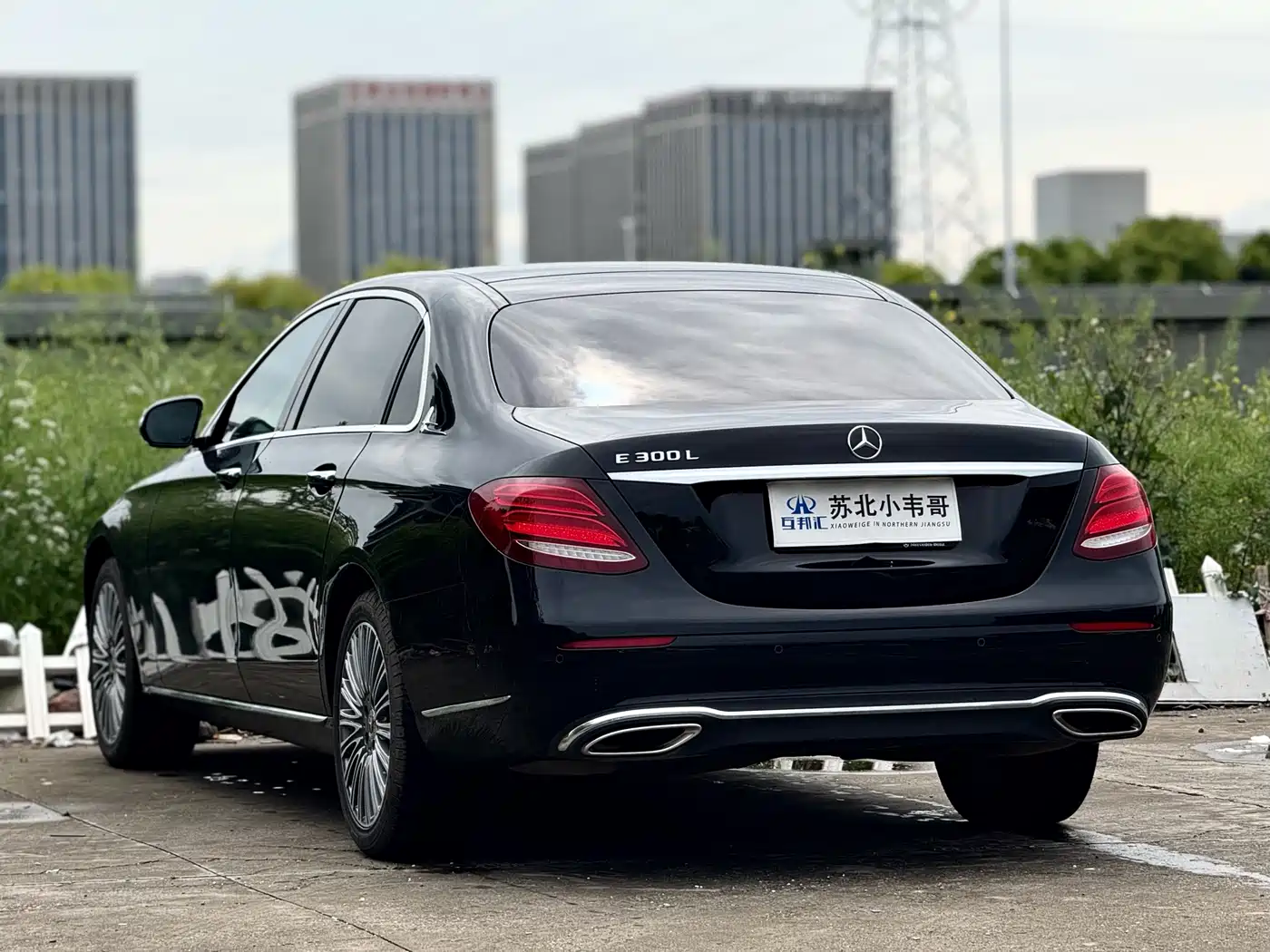 Mercedes-Benz E-Class 2020 E 300 L Luxury Model фото 6