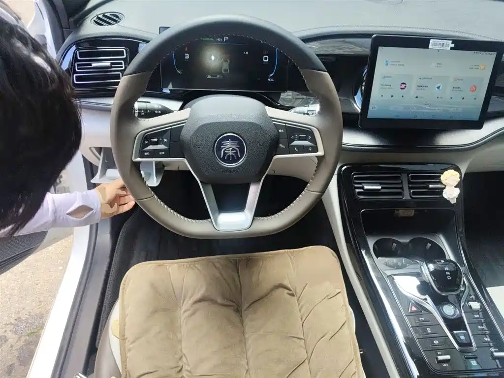 BYD Qin PLUS 2024 Glory Edition DM-i 55KM Leading фото 7