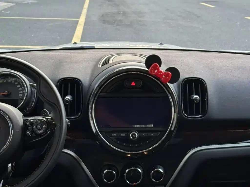 MINI COUNTRYMAN 2020 2019 2.0T COOPER S ALL4 Artist