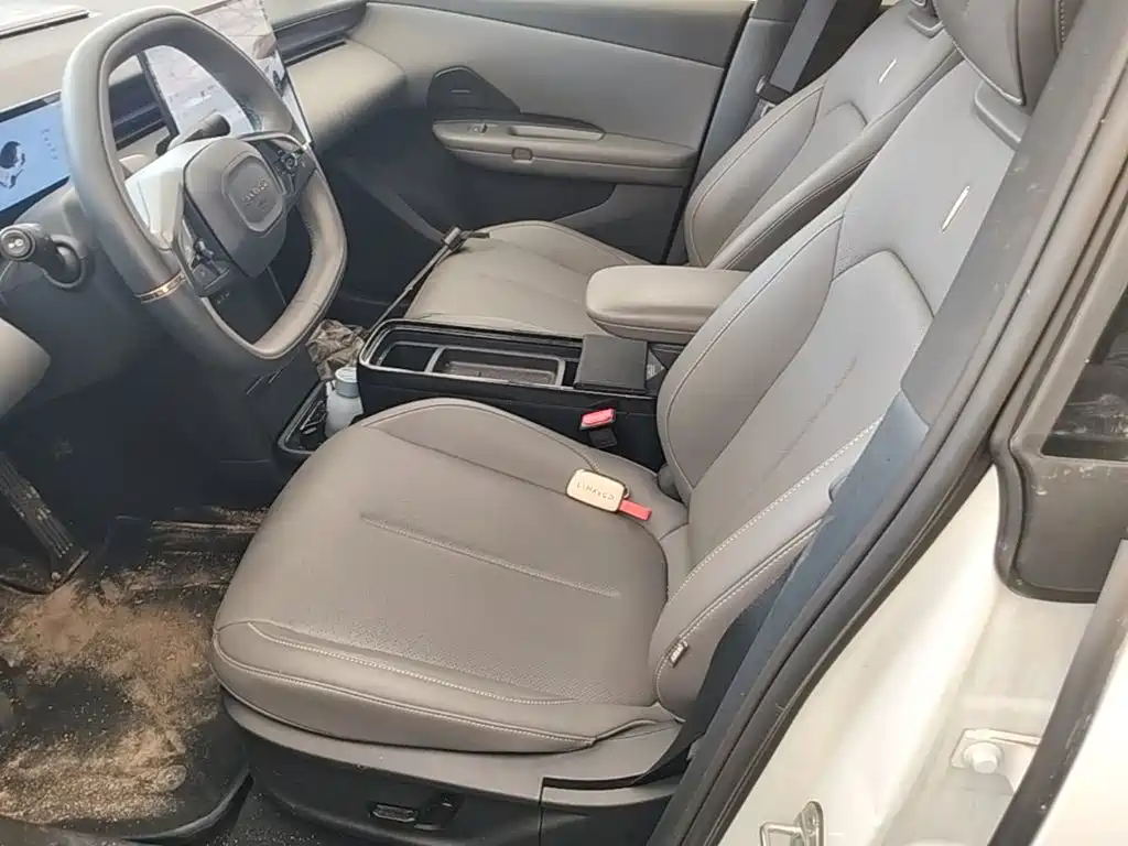 Lynk & Co Z20 2025 2025 530km RWD Max