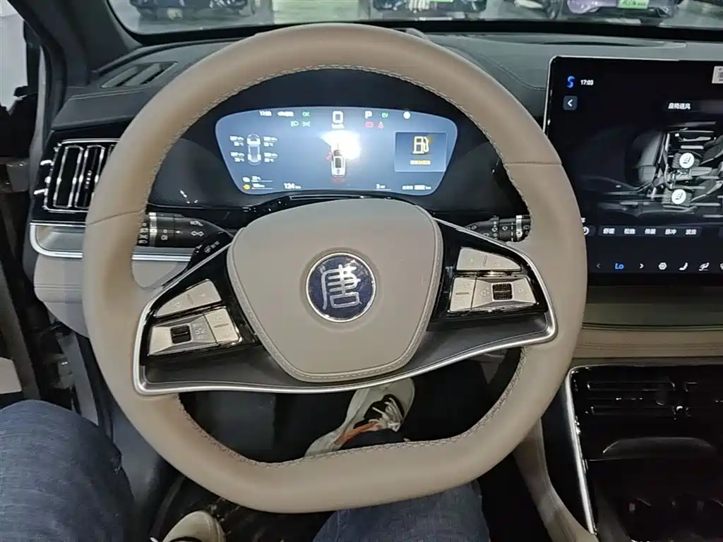 BYD Tang New Energy 2025 Smart Driving Edition DM-i 115KM Flagship фото 11