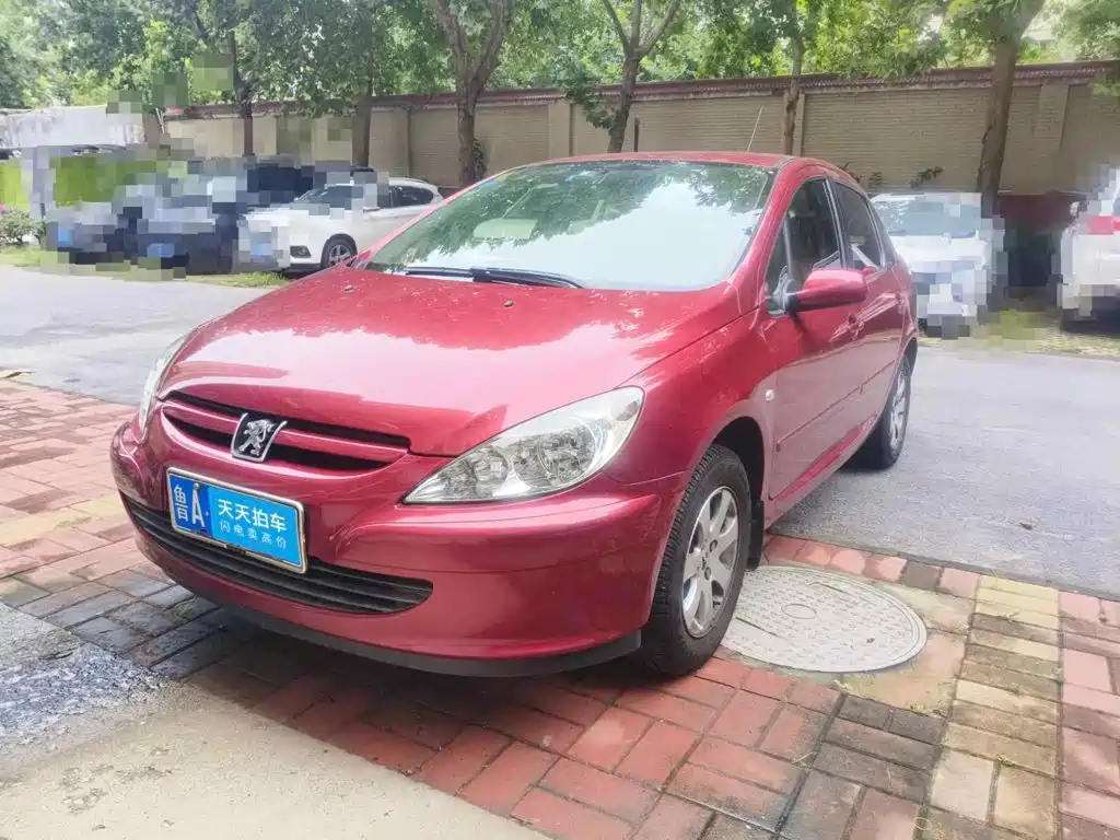 Peugeot 307 2007 2006 Model 1.6L Manual XS