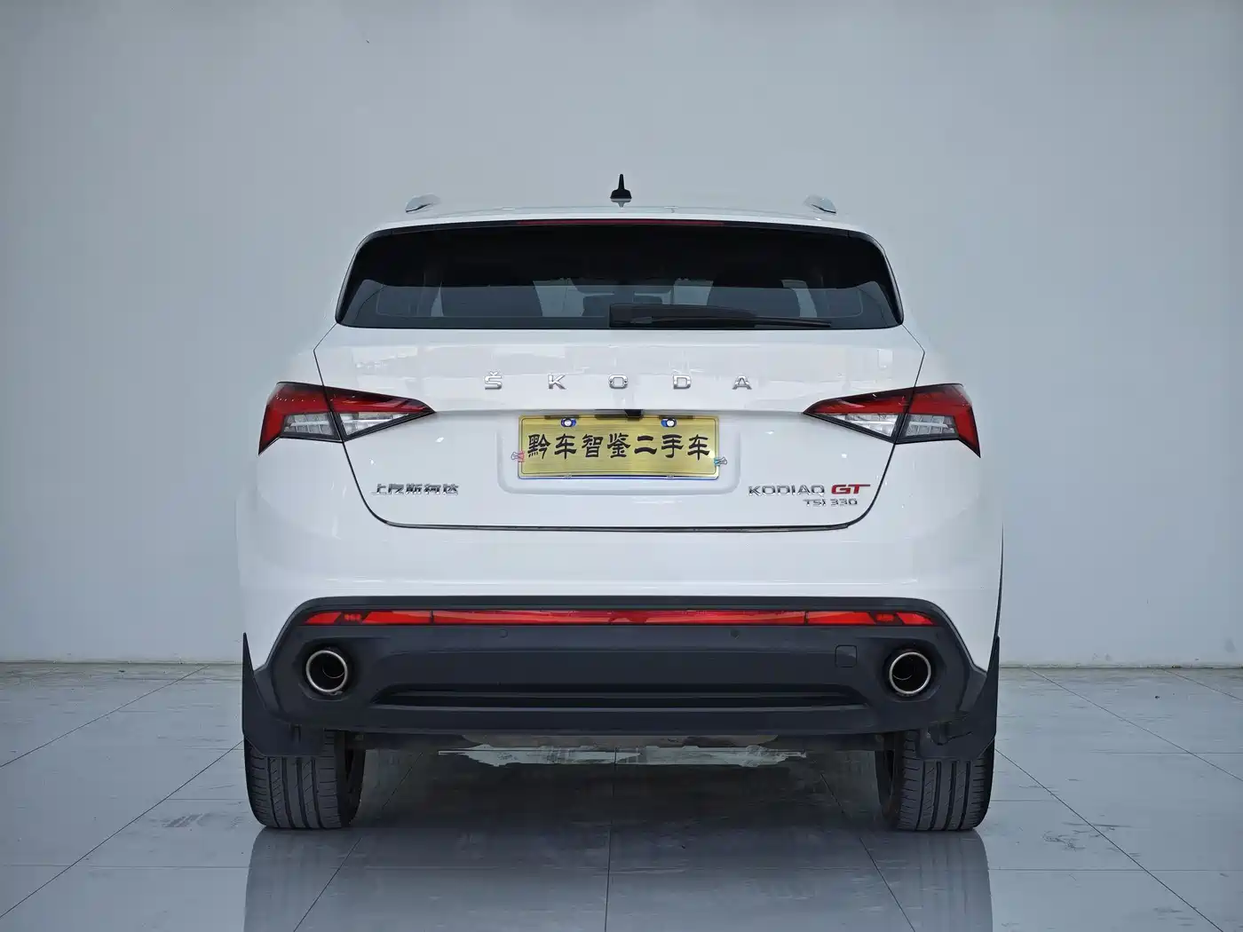 Škoda Kodiaq GT 2019 TSI330 2WD Luxury Edition China VI фото 5